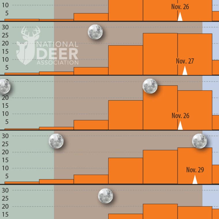 Moon Rut Myth Feature National Deer Association