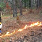 4 Ways to Light a Prescribed Fire