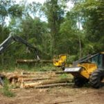 Does Logging or Habitat Work Push Deer Away?