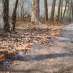 Get Ready to Use Prescribed Fire