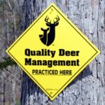 QDM vs. Trophy and Traditional Deer Management