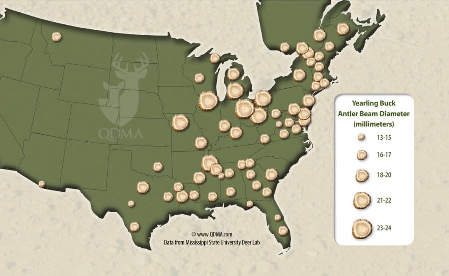 Whitetail Deer Density Map