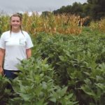 Mixing Corn and Soybeans in Food Plots
