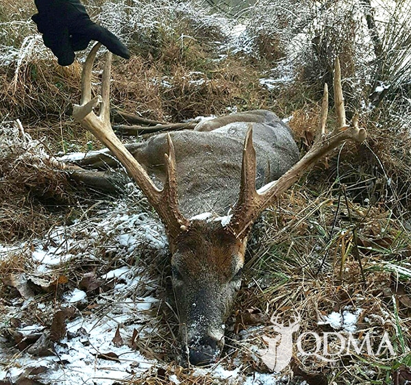 https://deerassociation.com/wp-content/uploads/2017/01/buck-bottle-qdma-lead.jpg