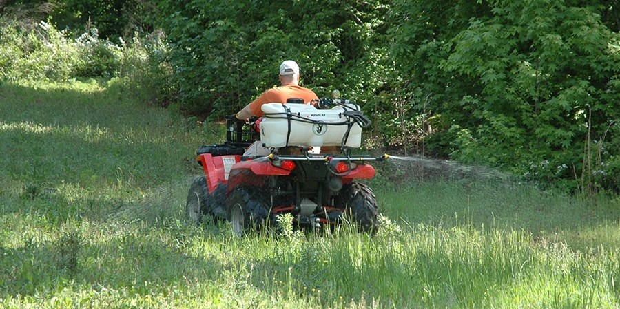 5 Herbicides Every Deer Steward Should Know Nda