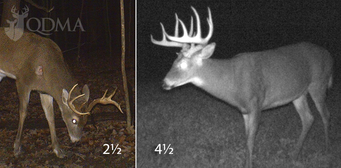 3 Boomerang Bucks That Went Non-Typical and Back Again