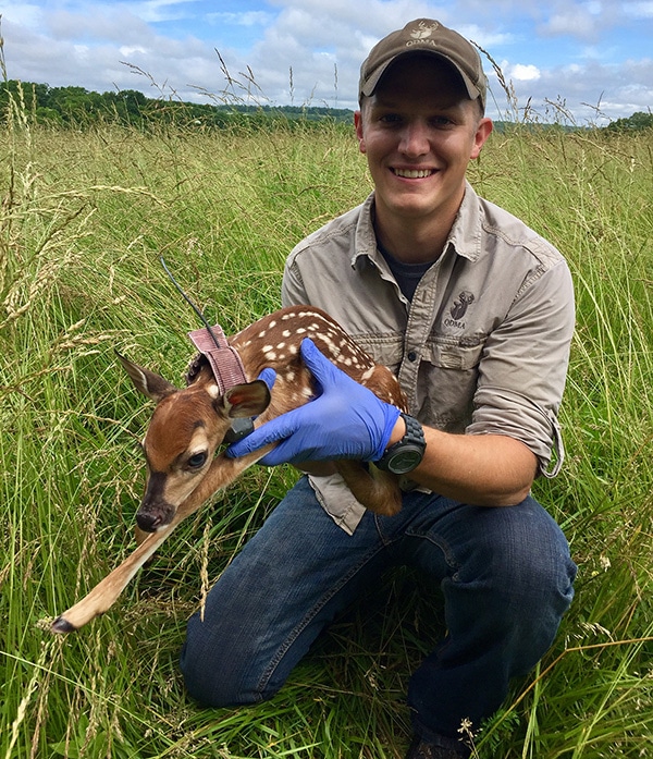 Alex Foster, a Wildlife Management Cooperative Specialist with QDMA, assisting with a fawn survival study in Missouri.