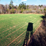 6 Ways Food Plots Are Not Baiting