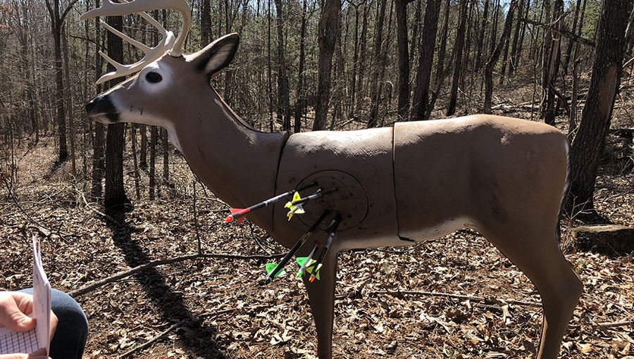 Why 3D Archery Will Make You a Better Bowhunter National Deer