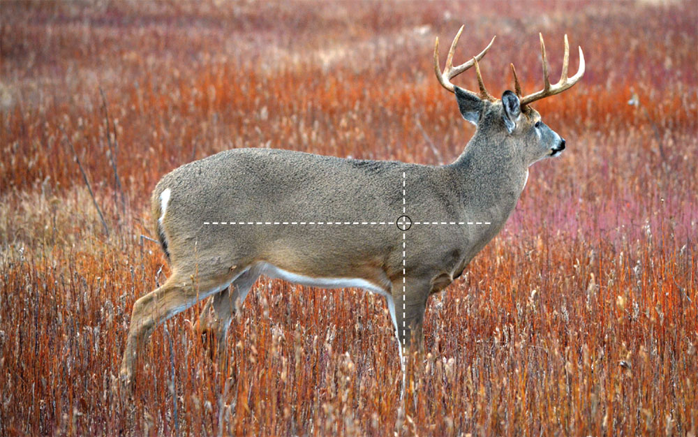 Shot Placement Lead National Deer Association