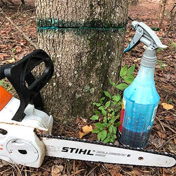 Is Craig Harper's FSI Cocktail Safe for Non-Target Trees?