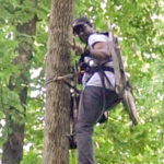Practice Your Treestand Safety Technique Before the Hunt