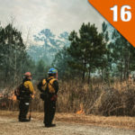Prescribed Fire Basics: Learning to Burn Safely and Effectively With Wildlife Biologist Shan Cammack