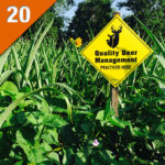 Summer Food Plots: What to Plant, How to Plant One, and Why You Should