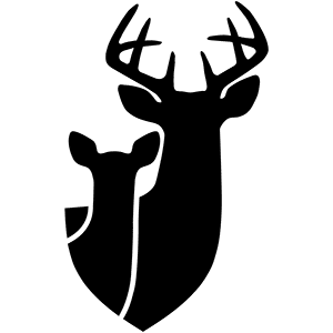 www.qdma.com