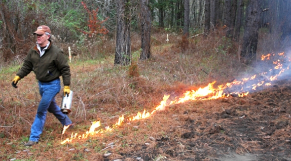 Flanking Fire  National Deer Association