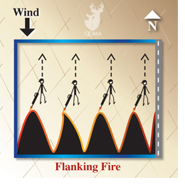 Flanking and Backing Fire Behavior