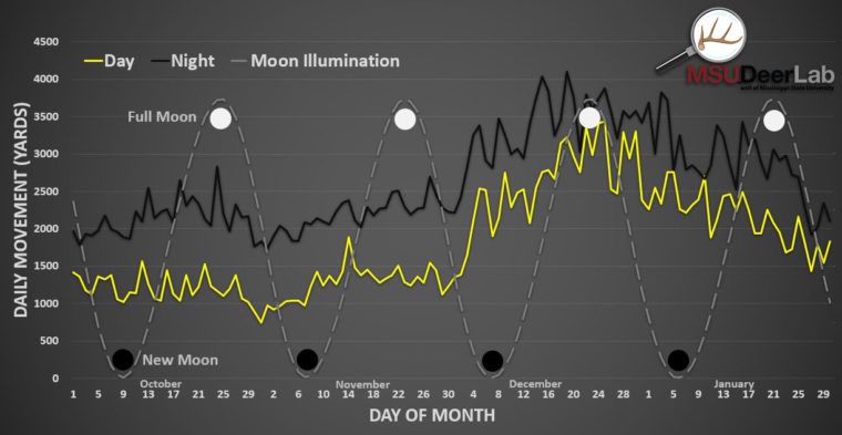 MSU Deer lab study Cold Fronts May Get Hunters On Their Feet, But Bucks Answer a Different Call