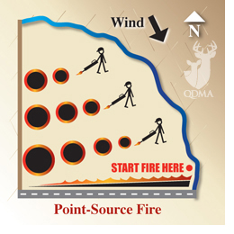 Point_source_fire