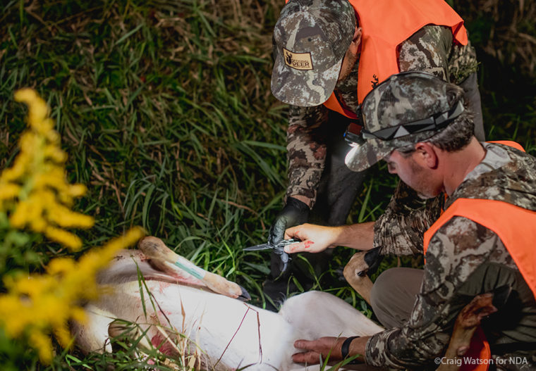 6 Essential Pieces of Hunting Gear for Beginners