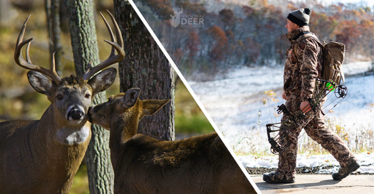 cold front lead nda Cold Fronts May Get Hunters On Their Feet, But Bucks Answer a Different Call