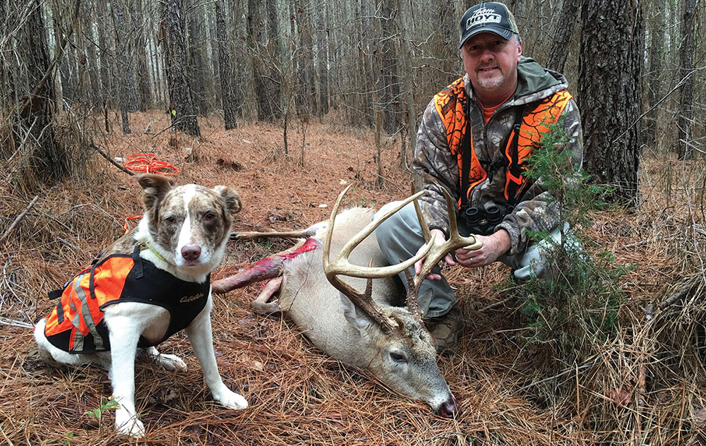 deer hunting with dogs