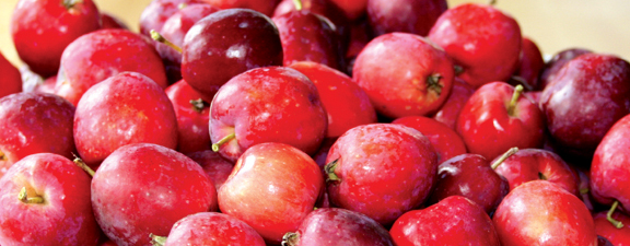 Can You Eat Crab Apples? Yes, Here's How