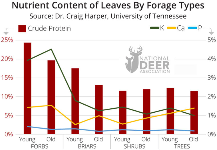 nutrient content graph Deer Diet Breakdown: What Do Deer Eat?