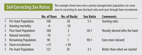 ratios