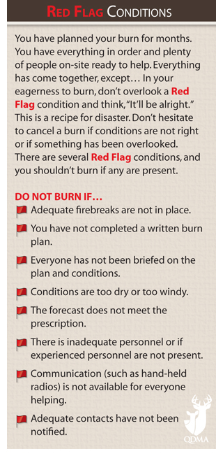 red_flag_conditions