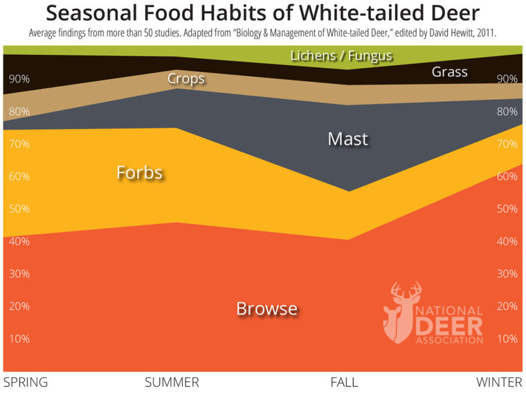 seasonal deer diet Deer Diet Breakdown: What Do Deer Eat?