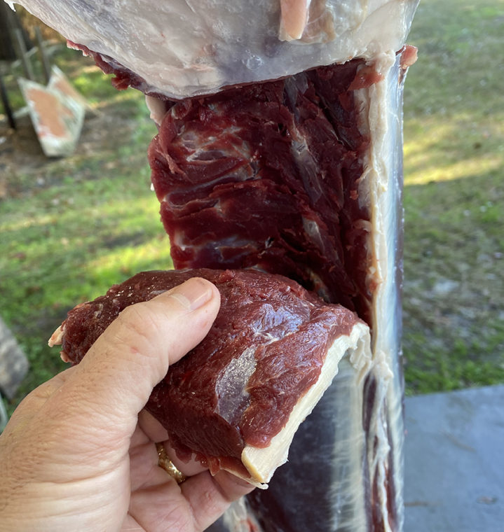 Venison Backstrap Inside and Out: A Muscular Look at America's Best Cut of  Meat