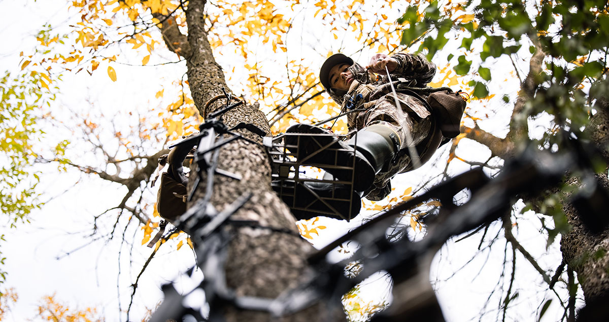 Deer hunter hunting from tree saddle