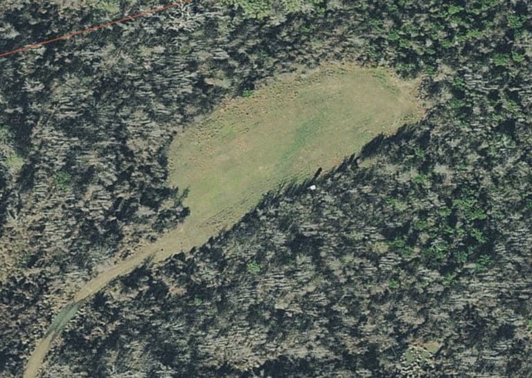 How to Hunt Food Plots Maybe Don’t National Deer Association