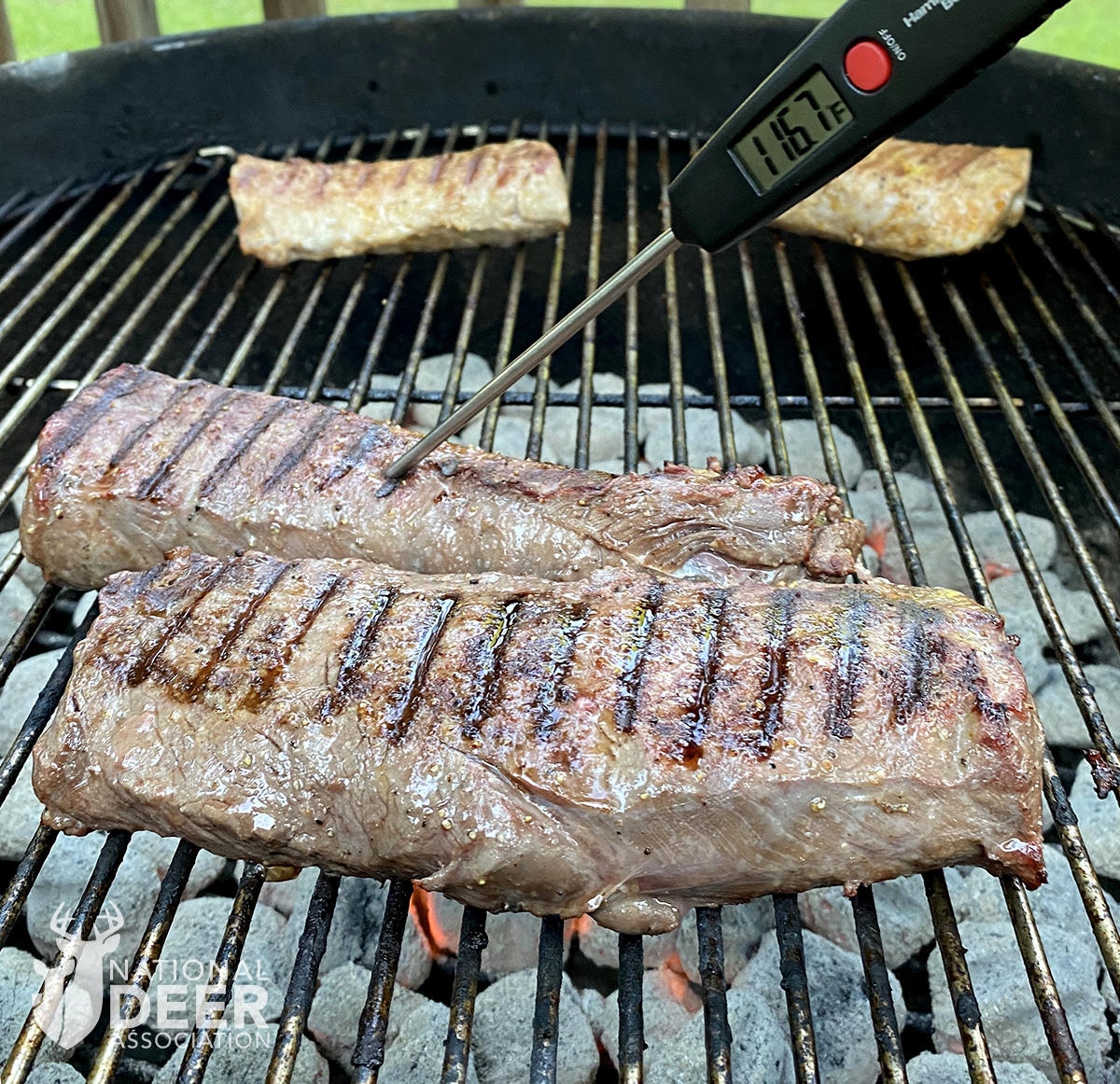 Grilled Venison Backstrap