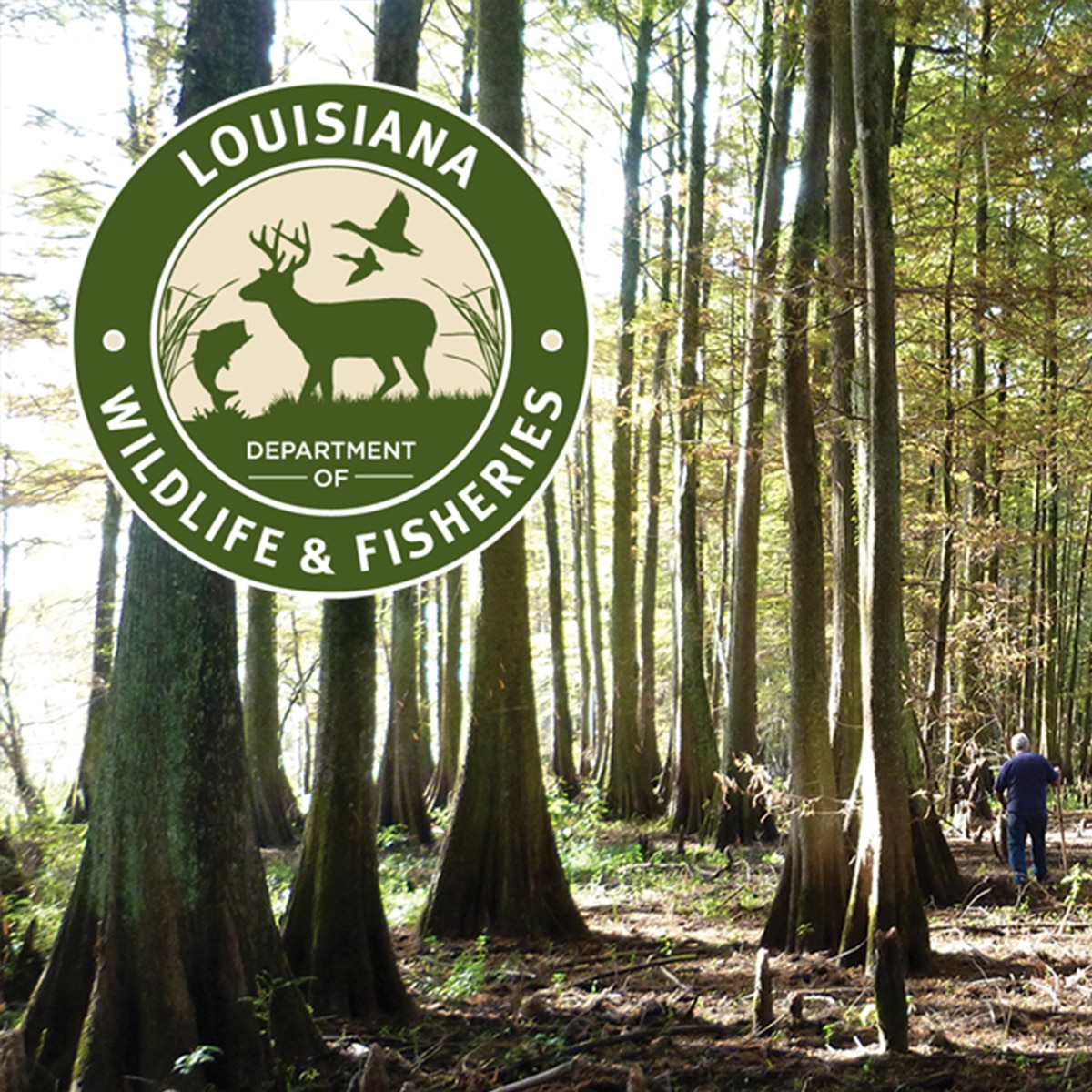 louisiana wildlife and fisheries trip tickets