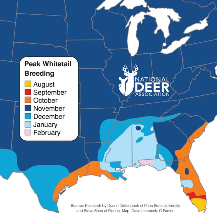 The Southern Whitetail Rut Map is Crazy. Here's Why.