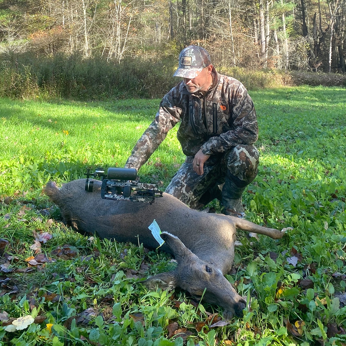 https://deerassociation.com/wp-content/uploads/2023/05/hunting-plots-lead.jpg