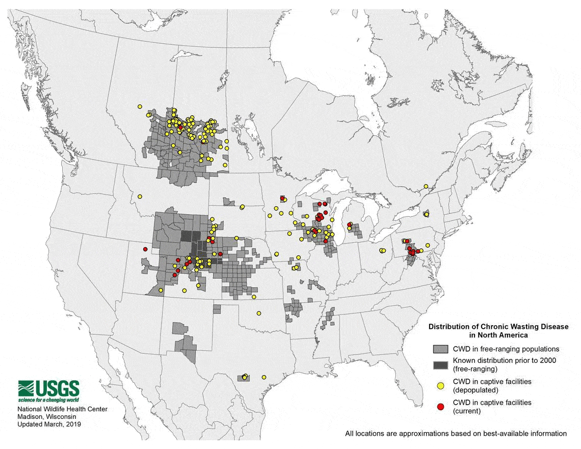 Animated map showing the spread of CWD in the United States.