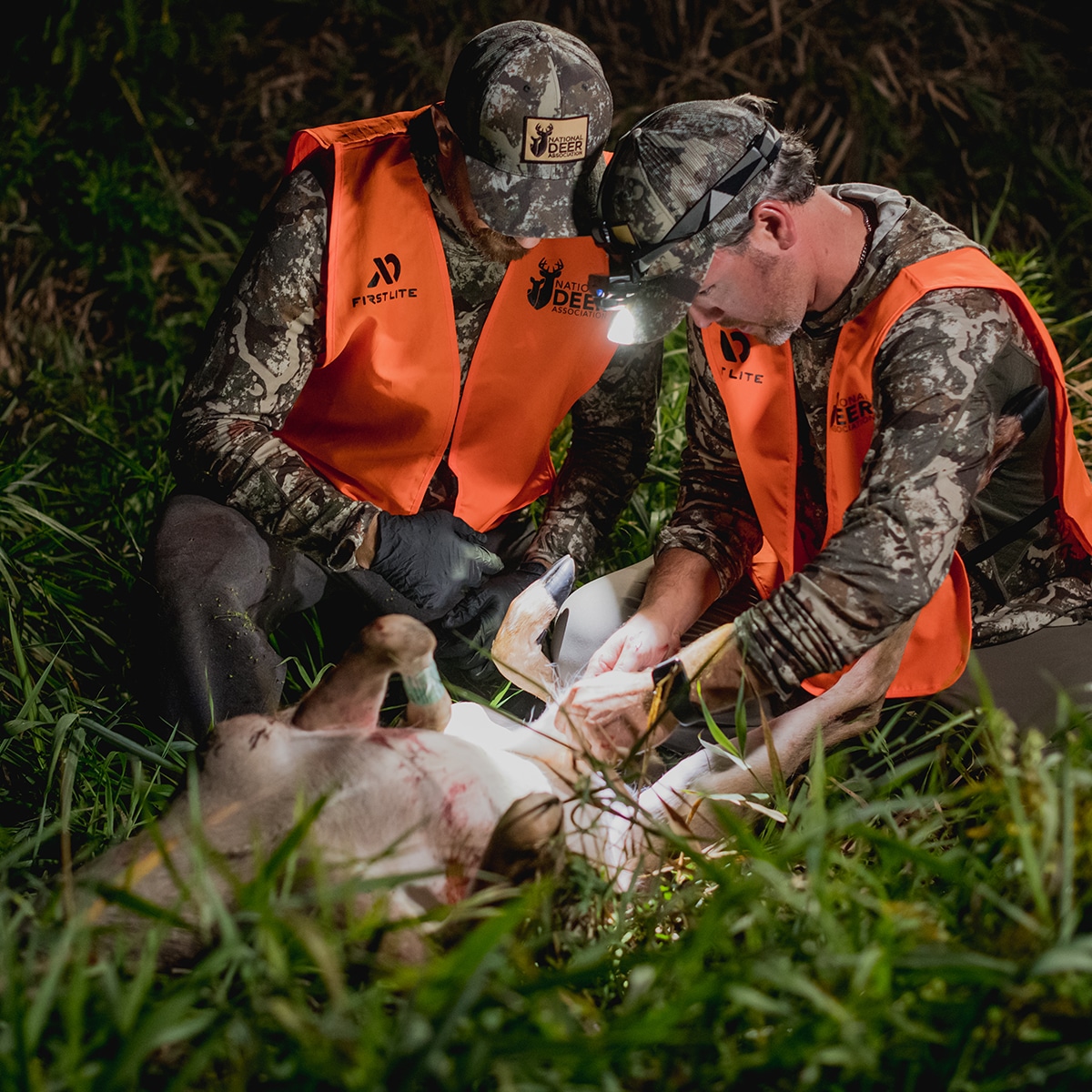 venison safety lead How Long is Venison Safe in Warm Weather?