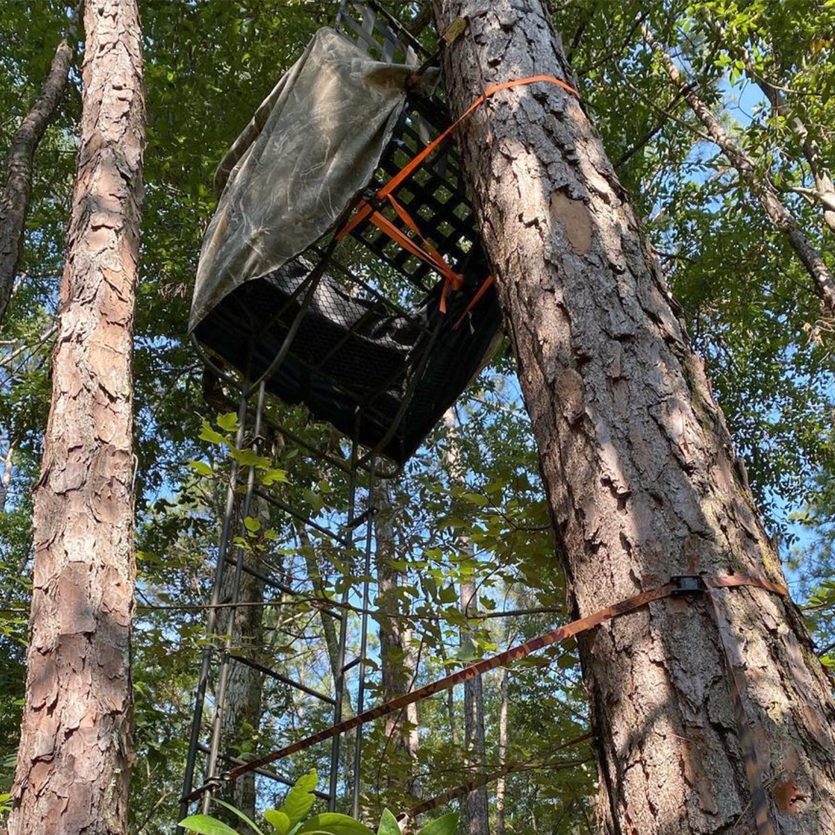 Ladder on sale tree stands