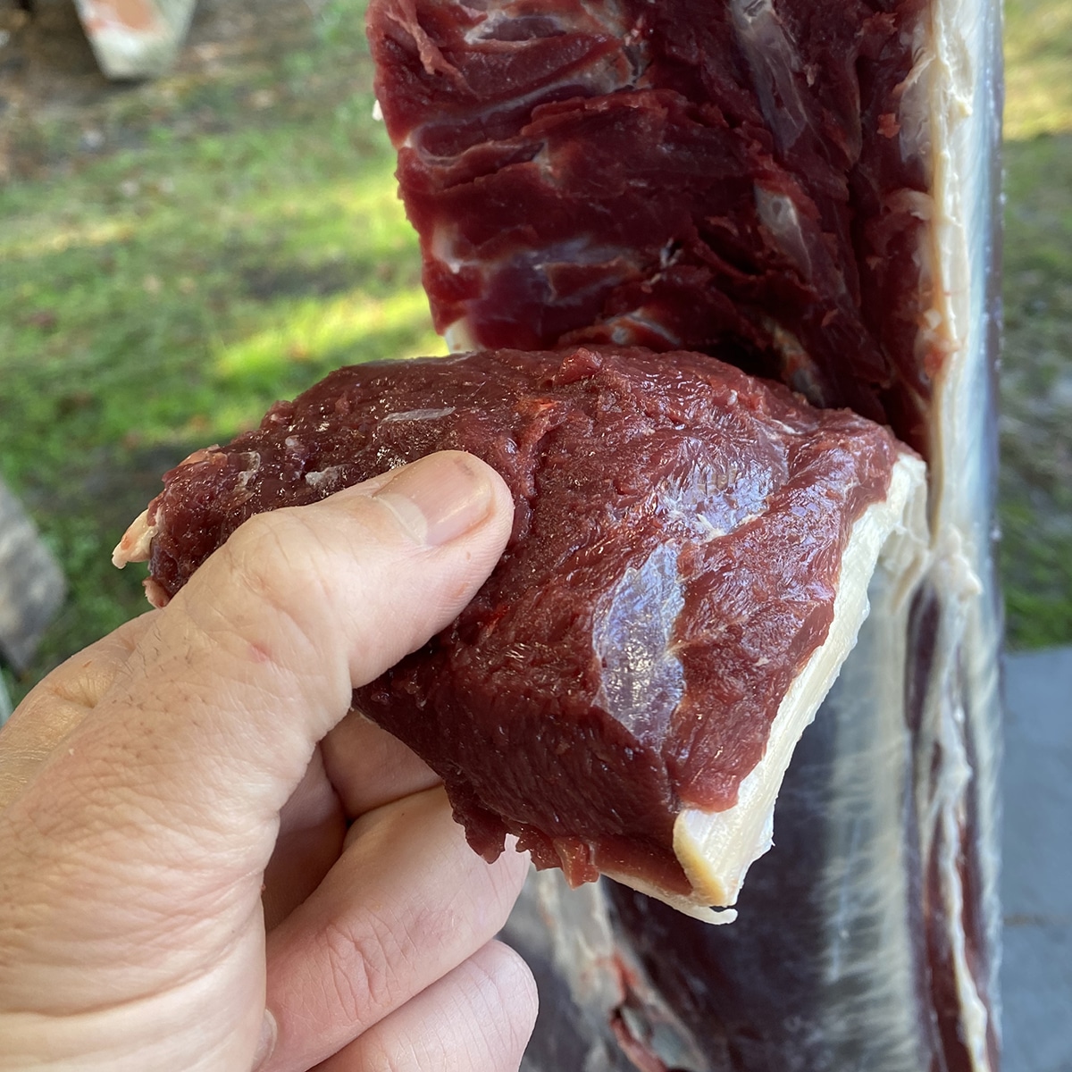 Venison Backstrap Grilling Tips from a Professional Chef