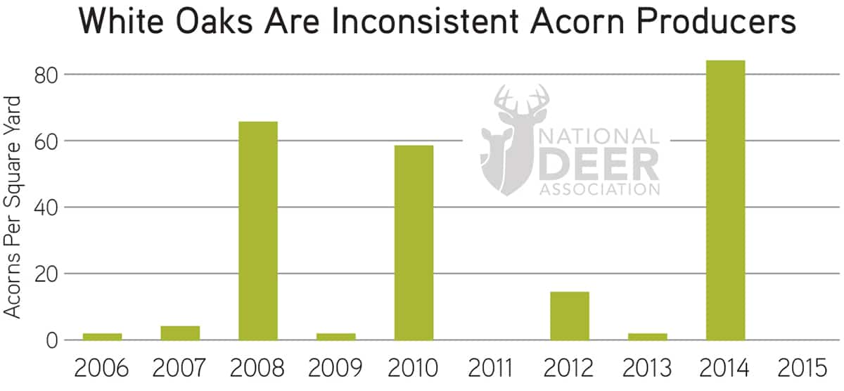 2022 Acorn Production Report: Mixed Results