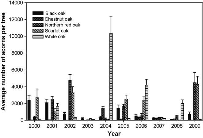 2022 Acorn Production Report: Mixed Results