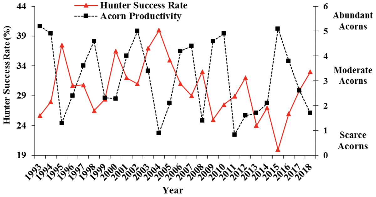 Look Inside Acorns to Find Deer Hunting Success