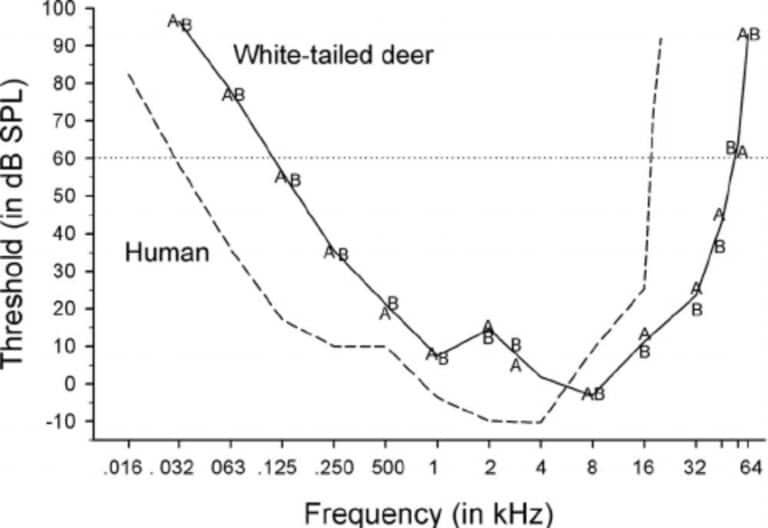 Listen to These 5 Facts About Deer Hearing NDA