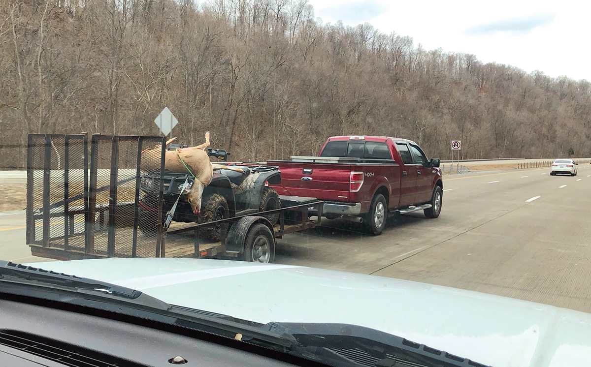 deer carcass transportation 1 Where You Going With That Deer? States Are Enforcing Deer Carcass Transport Bans.