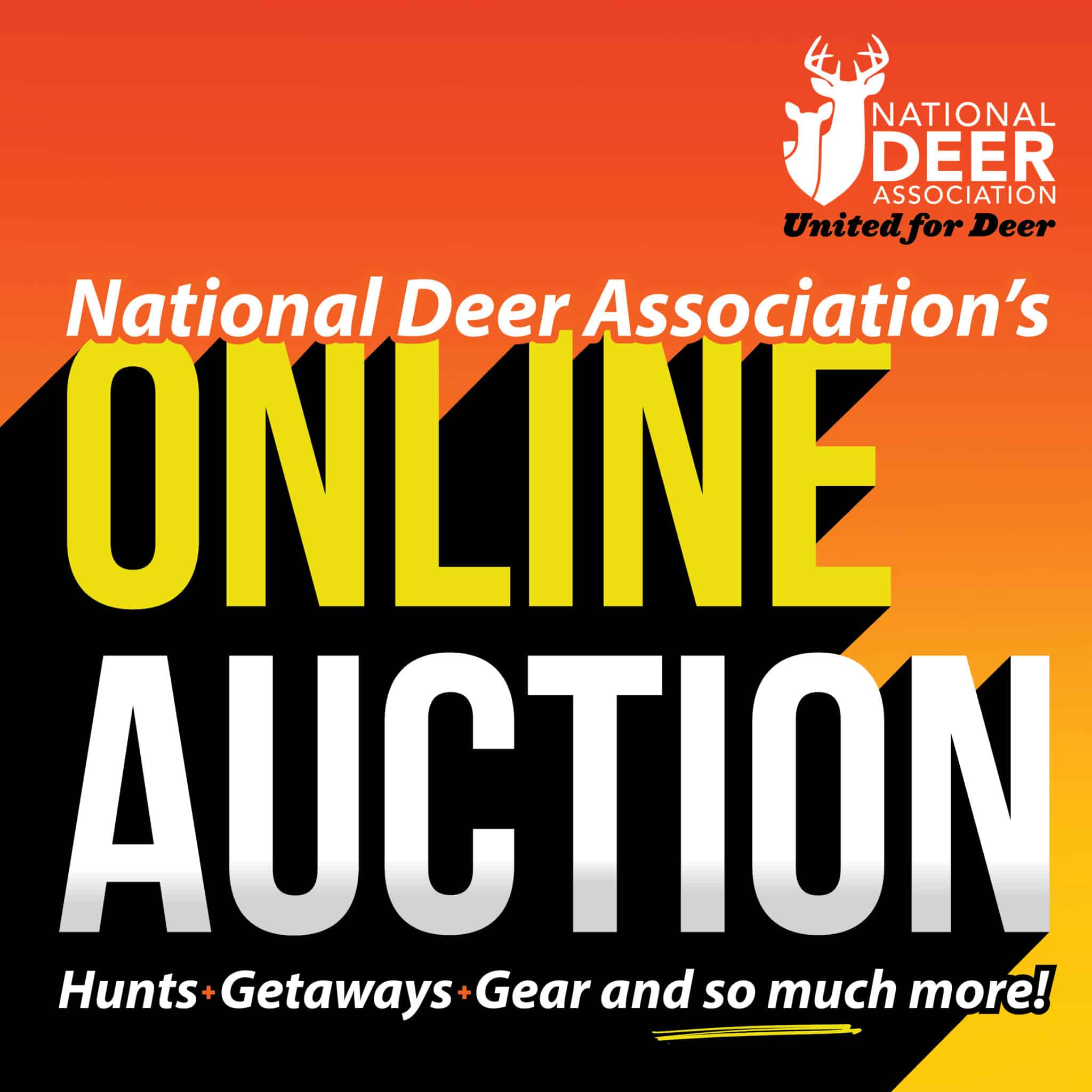 10 Gun Rifle and Online Auction | National Deer Association