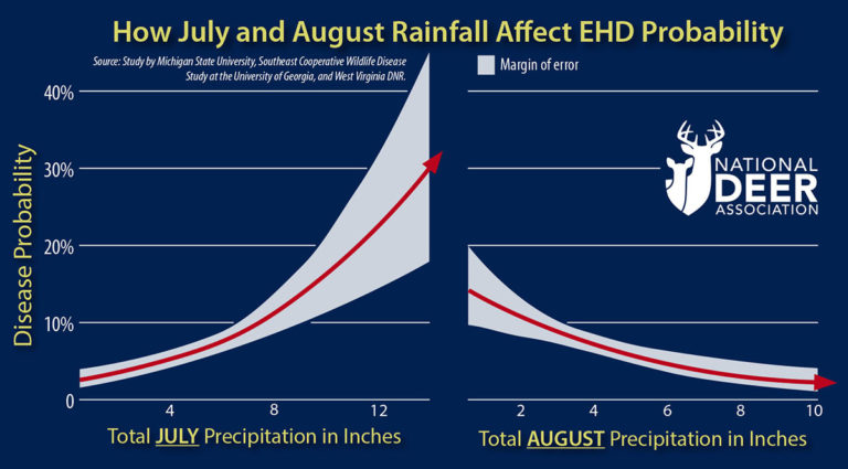 These Warning Signs Could Predict EHD Outbreaks in Deer