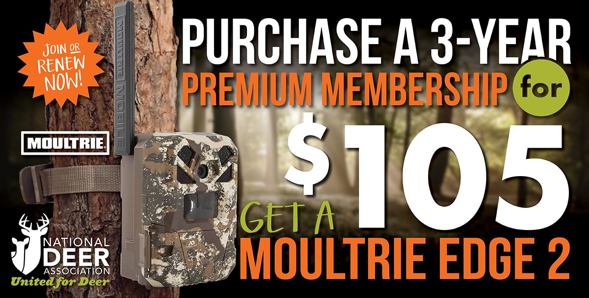3-year membership offer